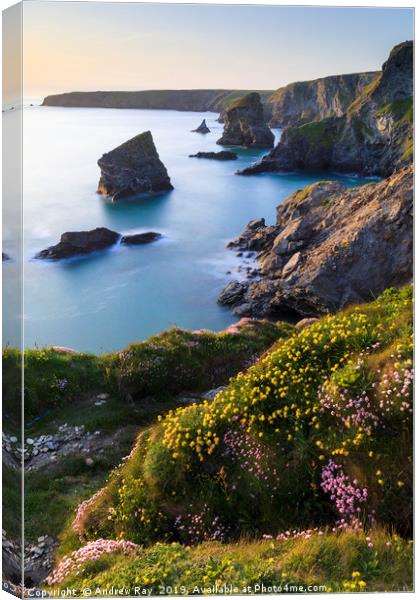 Spring light (Bedruthan Steps Canvas Print by Andrew Ray