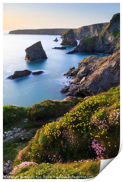 Spring light (Bedruthan Steps Print by Andrew Ray