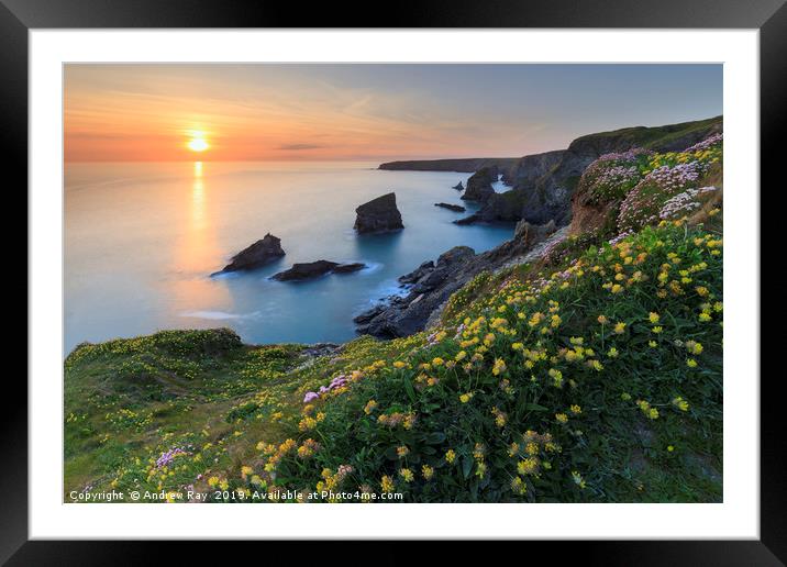 The setting sun at Bedruthan Steps. Framed Mounted Print by Andrew Ray