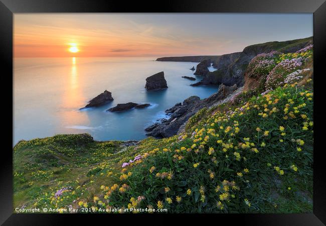 The setting sun at Bedruthan Steps. Framed Print by Andrew Ray