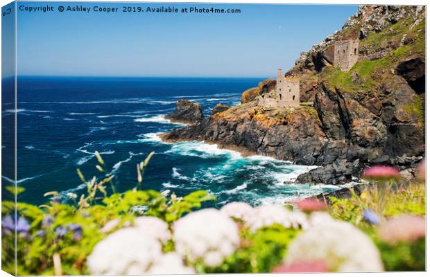 Botallack tin mine. Canvas Print by Ashley Cooper