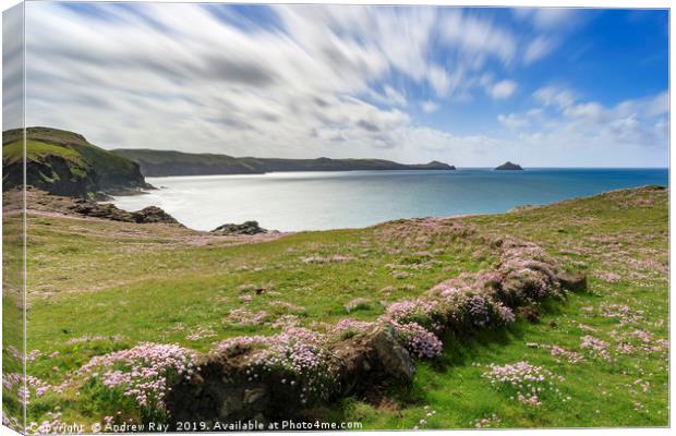 Spring afternoon (Port QuIn Bay) Canvas Print by Andrew Ray