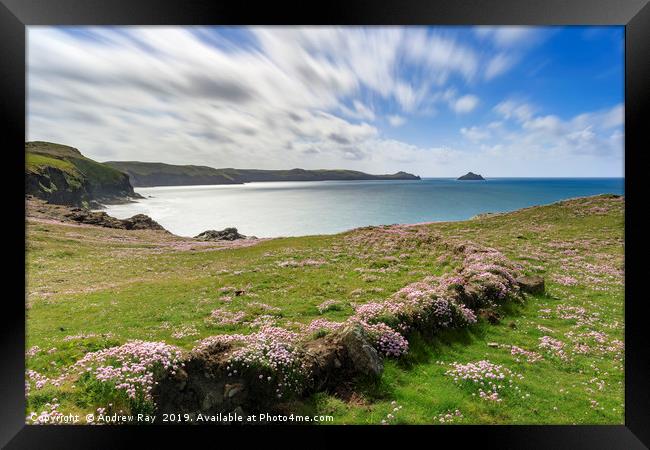 Spring afternoon (Port QuIn Bay) Framed Print by Andrew Ray