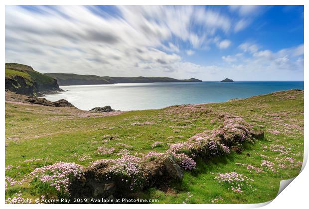 Spring afternoon (Port QuIn Bay) Print by Andrew Ray