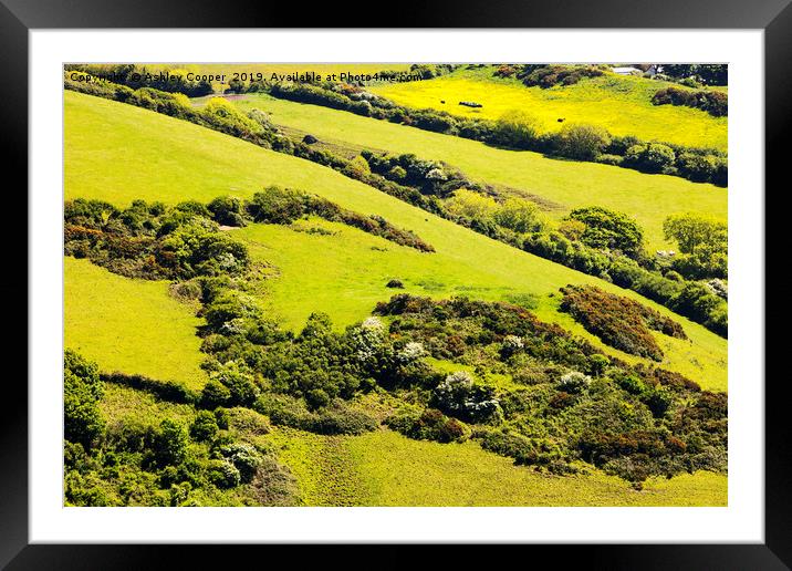 Field boundaries. Framed Mounted Print by Ashley Cooper