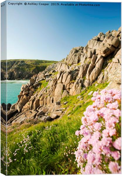 Porthcurno cliff. Canvas Print by Ashley Cooper