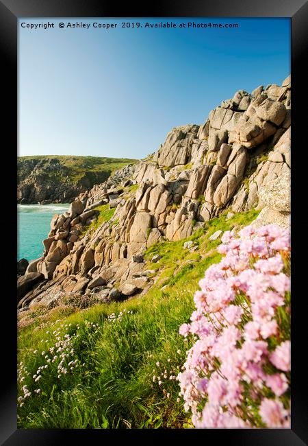 Porthcurno cliff. Framed Print by Ashley Cooper