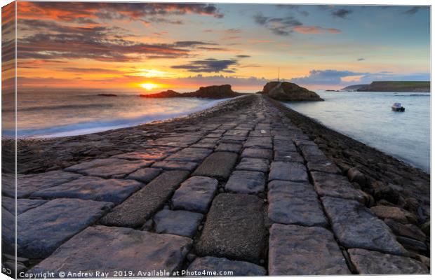 Setting sun at Bude Breakwater Canvas Print by Andrew Ray
