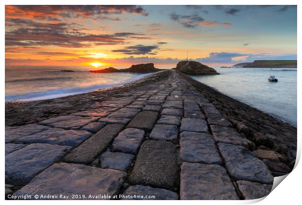 Setting sun at Bude Breakwater Print by Andrew Ray