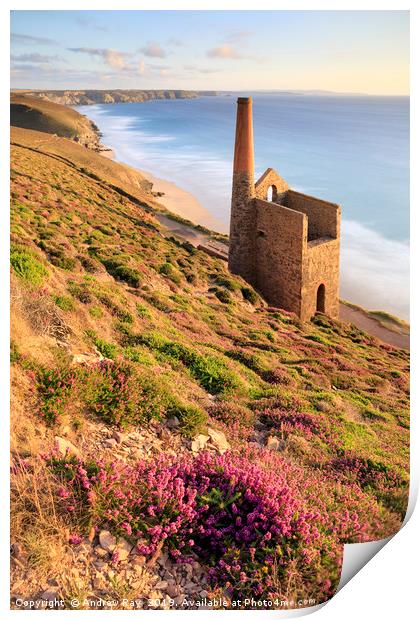 Above Wheal Coates Print by Andrew Ray