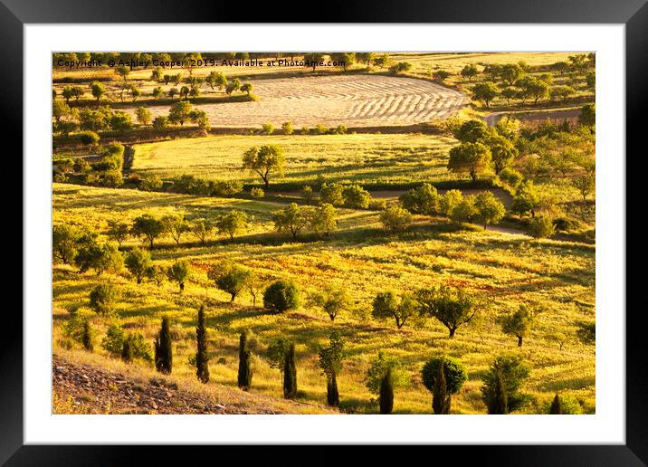 Anadalucia countryside. Framed Mounted Print by Ashley Cooper