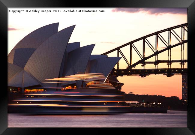 Sydney Opera House Framed Print by Ashley Cooper