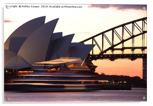 Sydney Opera House Acrylic by Ashley Cooper