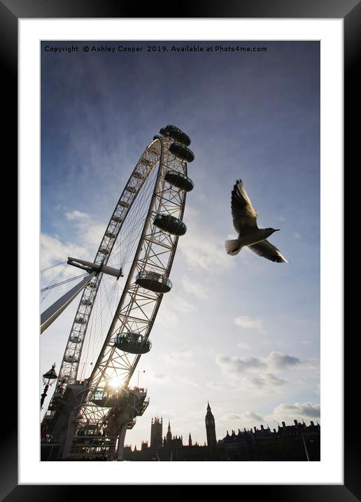The London Eye. Framed Mounted Print by Ashley Cooper