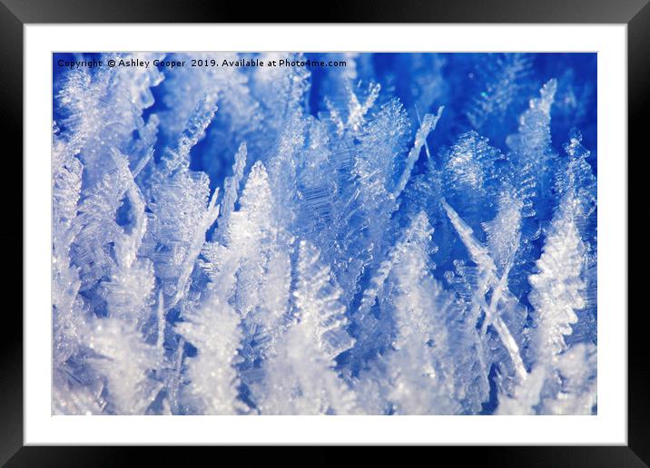 Ice crystals. Framed Mounted Print by Ashley Cooper