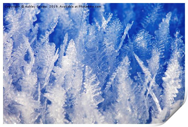 Ice crystals. Print by Ashley Cooper