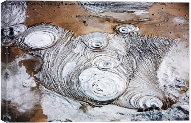 Geothermal mud. Canvas Print by Ashley Cooper