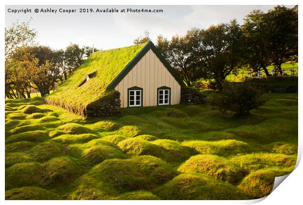Green roofed church. Print by Ashley Cooper