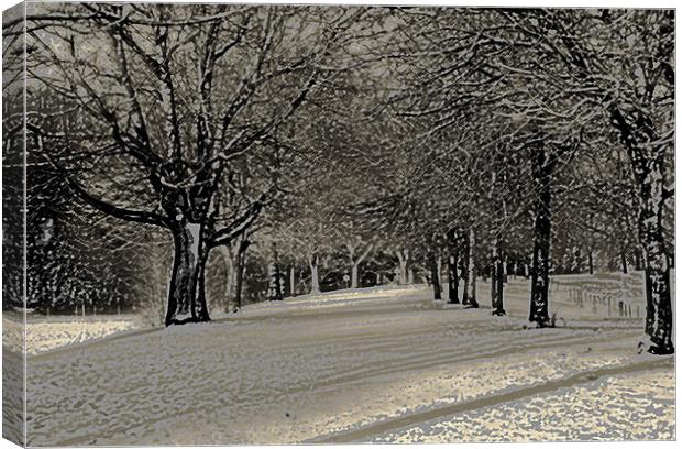 Winter in the Park (artistic) Canvas Print by pauline morris