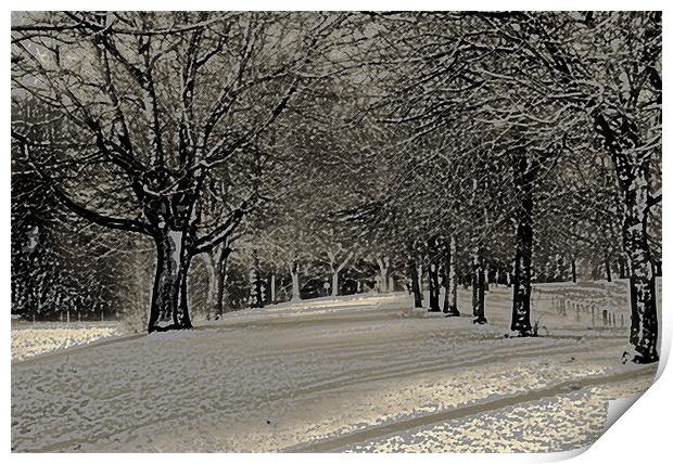 Winter in the Park (artistic) Print by pauline morris