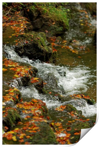 WATER IN AUTUMN Print by andrew saxton