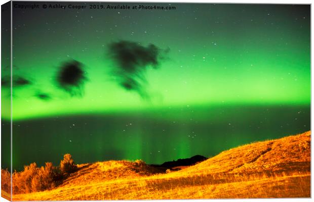 Northern lights Iceland. Canvas Print by Ashley Cooper