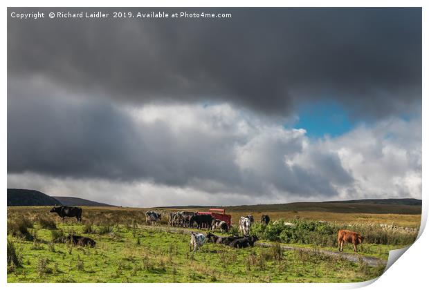 Widdybank Farm, Upper Teesdale 2 Print by Richard Laidler