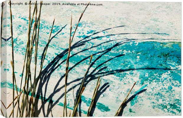 Grass. Canvas Print by Ashley Cooper