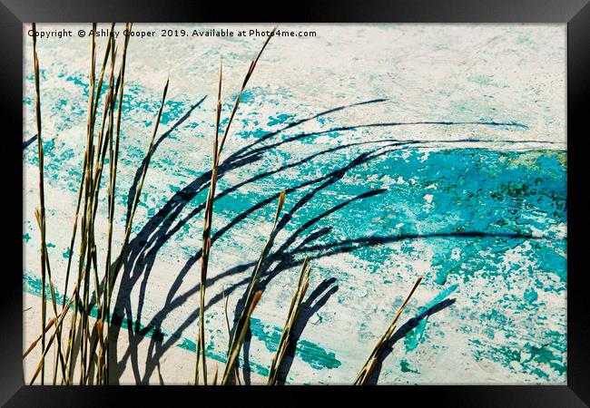 Grass. Framed Print by Ashley Cooper