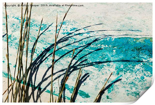 Grass. Print by Ashley Cooper
