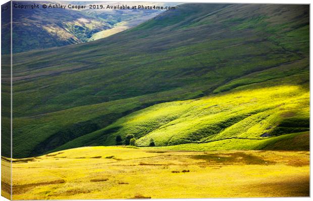 Moorland. Canvas Print by Ashley Cooper