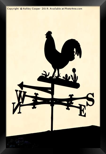 Cockerel Framed Print by Ashley Cooper