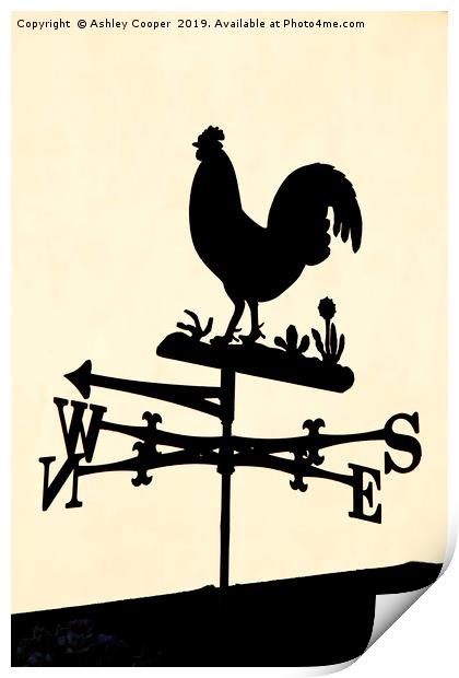 Cockerel Print by Ashley Cooper
