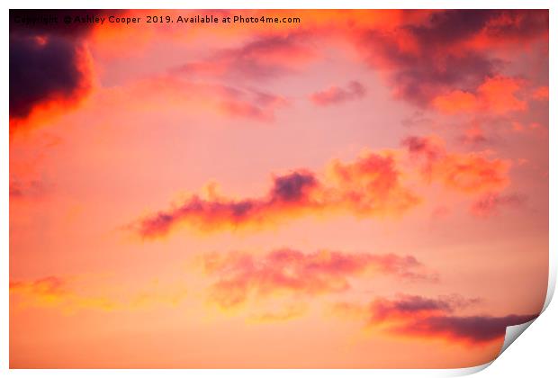 Red Sky. Print by Ashley Cooper