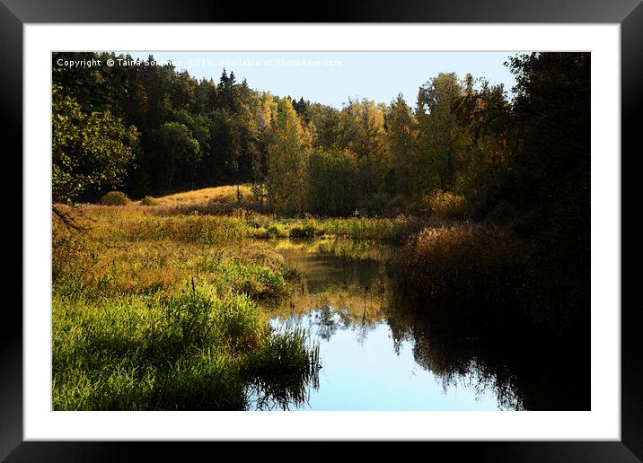Small River in Autumn Sunlight Framed Mounted Print by Taina Sohlman