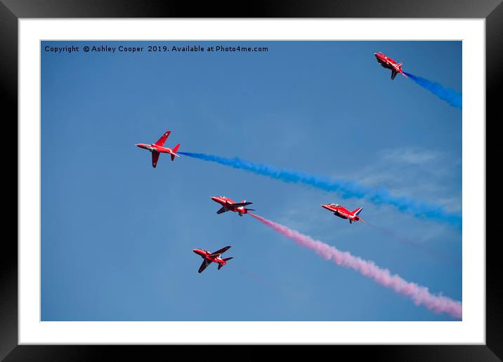 Display flight. Framed Mounted Print by Ashley Cooper