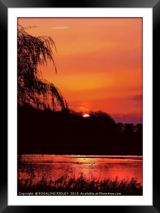 "Autumn Sunset" Framed Mounted Print by ROS RIDLEY