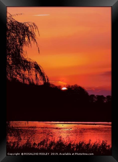 "Autumn Sunset" Framed Print by ROS RIDLEY