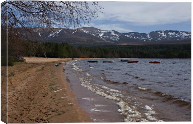 Waves on the beach at Loch Morlich Canvas Print by Jacqi Elmslie