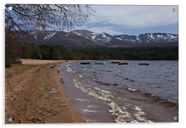 Waves on the beach at Loch Morlich Acrylic by Jacqi Elmslie