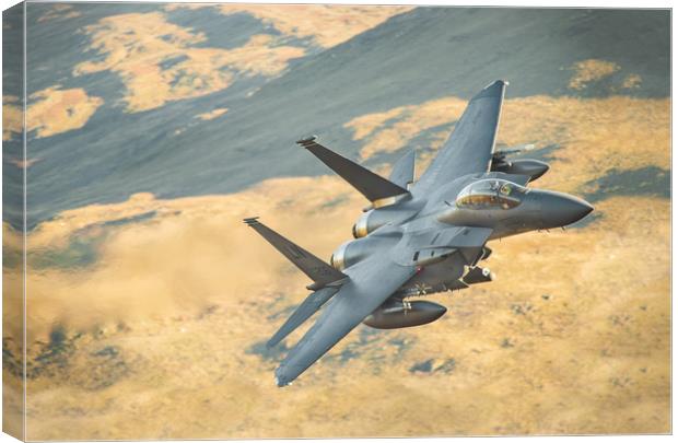 F15-Strike Eagle LL in Wales Canvas Print by Rory Trappe