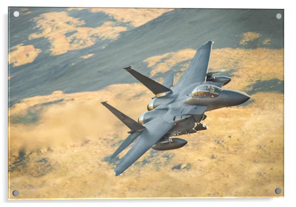 F15-Strike Eagle LL in Wales Acrylic by Rory Trappe