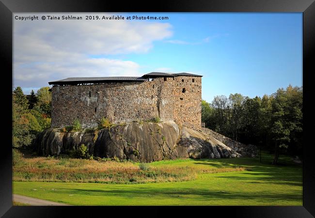 Raseborg Castle Ruins on a Rock Framed Print by Taina Sohlman