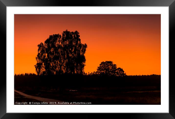 silhouette from the trees on the veluwe during sun Framed Mounted Print by Chris Willemsen
