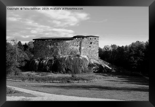 Raseborg Castle Ruins on a Rock Framed Print by Taina Sohlman