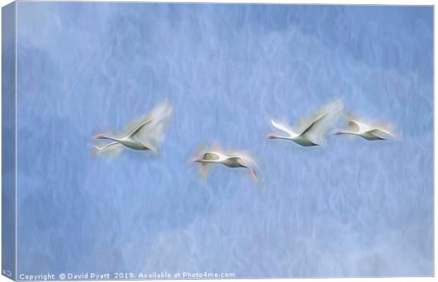 Swans Flight Art Canvas Print by David Pyatt