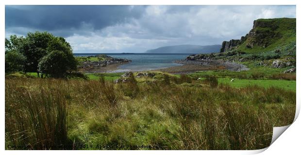 Port Dubh Print by Steven Watson