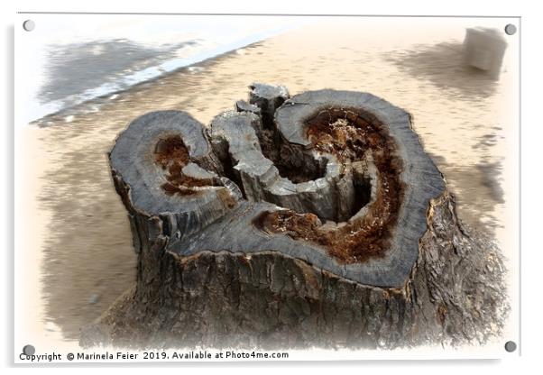Heart of the old tree Acrylic by Marinela Feier
