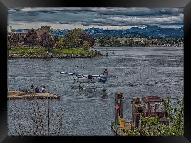Harbour Air in Victoria Framed Print by Darryl Brooks