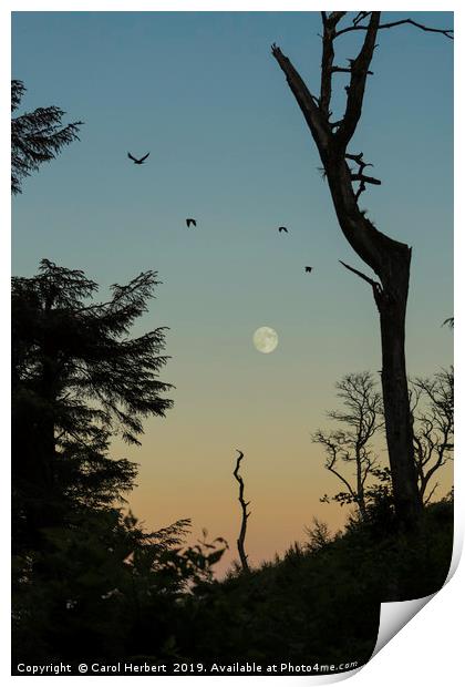 Moonrise Print by Carol Herbert